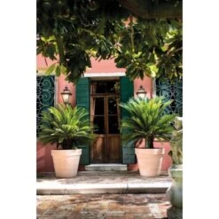 Deroma Pflanztopf Magno Ø 60 Cm White -Haushaltsgegenstände Geschäft 726232524137 3832 4